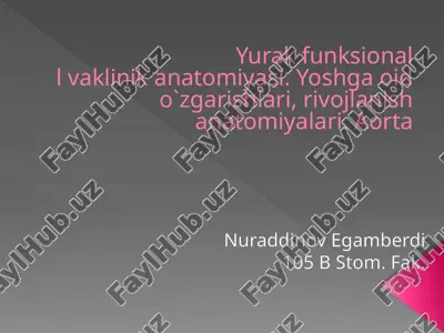 yurak anatomiyasi pptx — PPTX
