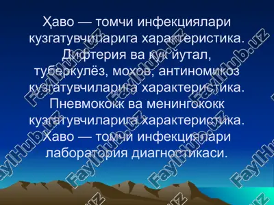 havo — tomchi infektsiyalari — PPT
