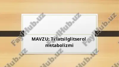 triatsilglitserol — PPTX