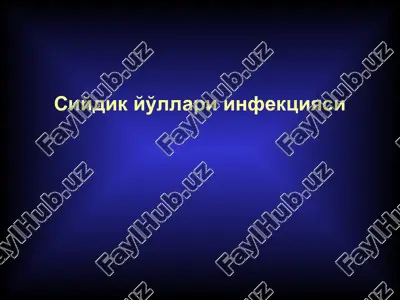 siydik yo'llari infektsiyasi — PPT