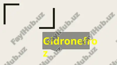 gidronefroz — PPTX