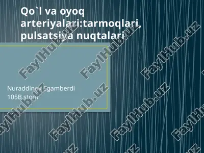 qõl va oyoq aryeriyalari anatomiyasi pptx — PPTX