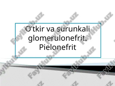 o'tkir va surunkali glomerulo nefrit.pielonefrit — PPTX