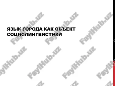 yazik goroda kak ob'ekt sotsiolingvistiki — PPTX