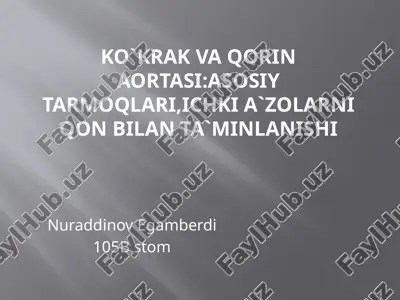 kõkrak va qorin aortasi anatomiyasi pptx — PPTX