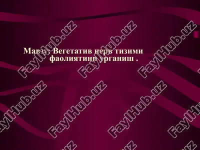 vegetativ nerv tizimi faoliyatini urganish — PPTX