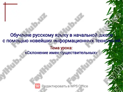 skloneniye imyon sushestvitelnykh — PDF