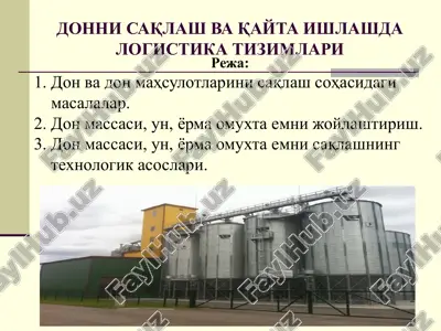 donni saqlash va qayta ishlashda logistika tizimlari — PPTX