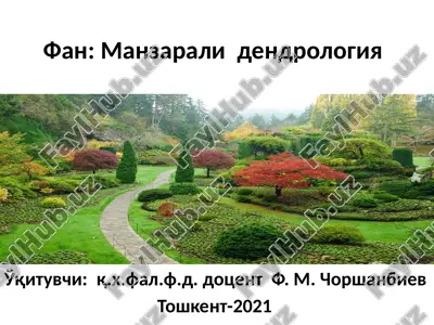 manzarali dendrologiya — PPTX