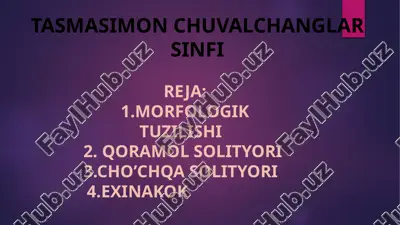 tasmasimon chuvalchanglar sinfi — PPTX