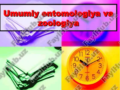 umumiy entomologiya va zoologiya — PPT
