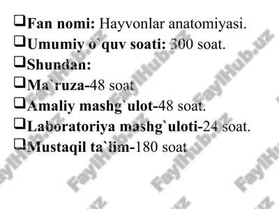hayvonlar anatomiyasi — PPTX