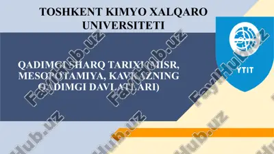 misr — PPTX