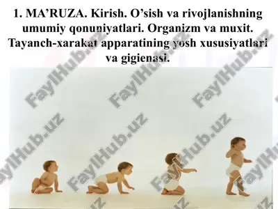 yosh fiziologiyasi va gigienasi — PPTX