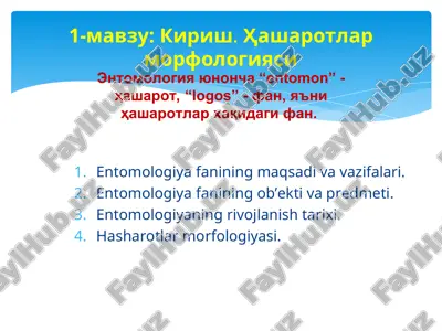 entomologiya fanining maqsadi va vazifalari — PPT