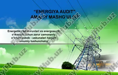 energiya audit — PPTX