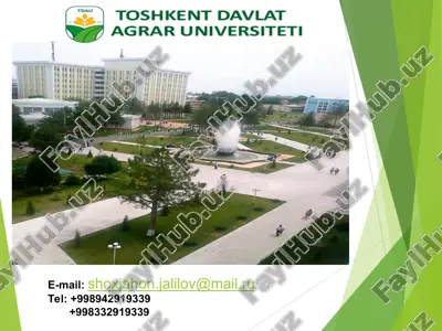 ommaviy tadbirlar va ularning tashkil etish — PPT