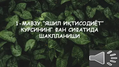 "yashil iqtisodiyot kursi" — PPTX