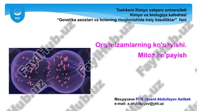 organizamlarning ko'payishi — PPTX