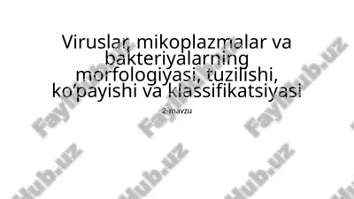 viruslar, mikoplazmalar va bakteriyalar — PPTX
