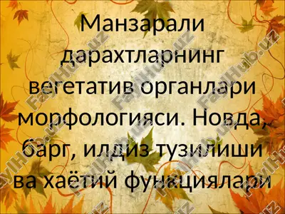 daraxtlarning vegetativ organlari morfologiyasi — PPTX