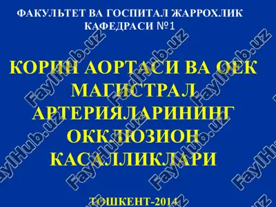 korin aortasi va oek magistral arteriyalarining okklyuzion kasalliklari — PPT