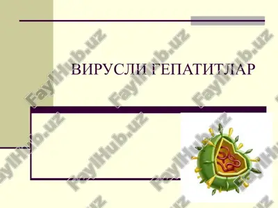 virusligepatitlar — PPT