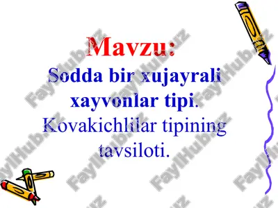 kovakichlilar tipi hayvonlar — PPT