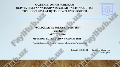 audit nazorati — PPTX