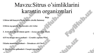 sitrus o’simliklarini karantin organizmlari — PPTX