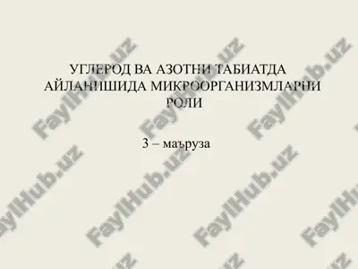 uglerod va azotni tabiatda aylanishidagi mikroorganizmlarni roli — PPT