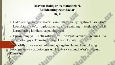 baliqlarning sangvinikolez kasalliklari va qo’zgatuvchilari — PPTX