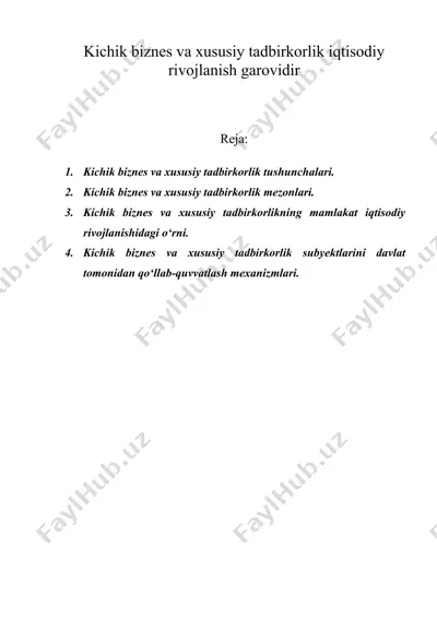 kichik biznes va xususiy tadbirkorlik iqtisodiy rivojlanish garovidir — DOC