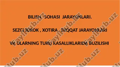 sezgi idrok va xotira patologiyasi — PPTX