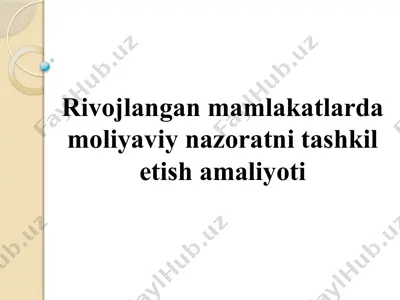 rivojlangan mamlakatlarda moliyaviy nazoratni tashkil etish amaliyoti — PPTX