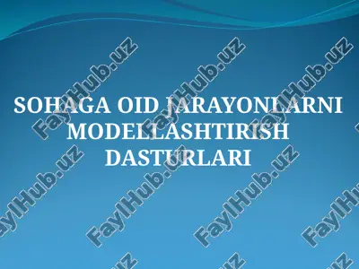 sohaga oidjarayonlarni modellashtirishdasturlari — PPTX