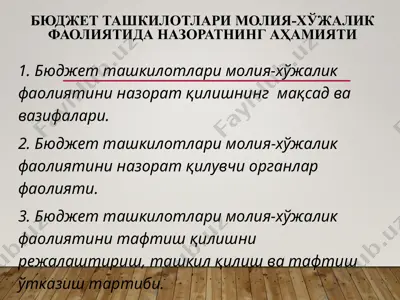 бюджет ташкилотлари молия-хўжалик фаолиятида назоратнинг аҳамияти — PPTX