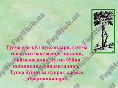 tuğma o'yog‘-qo‘l nuqsonlari — PPT