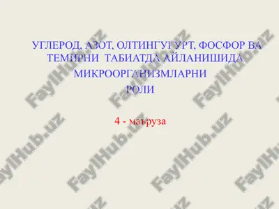 mikroorganizmlar roli — PPT