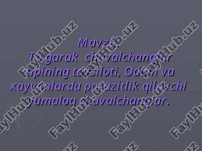 to’garak chuvalchanglar — PPT