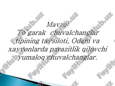 to'garak chuvalchanglar — PPT