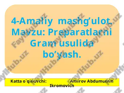 preparatlarni gramusuli bo'yash — PPTX