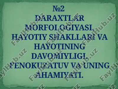 daraxtlar morfologiyasi, hayotiy shakllari va hayotining davomiyligi. fenokuzatuv va uning ahamiyati — PPTX