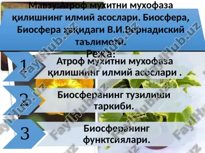 atrof muxitni muxofaza qilishning ilmiy asoslari. biosfera — PPTX