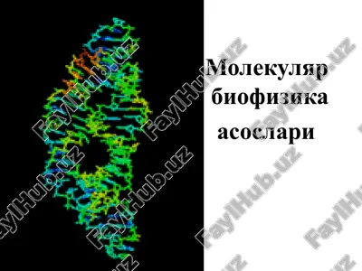molekulyar biofizika asoslari — PPTX