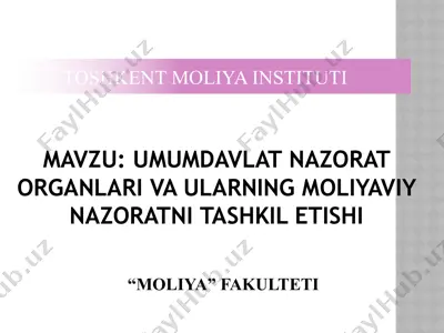 umumdavlat nazorat organlari va ularning moliyaviy nazoratni tashkil etishi — PPTX