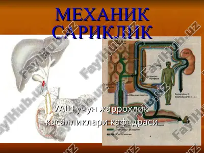 mexaniksariklik — PPT