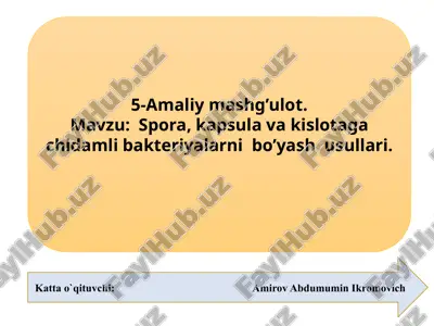 amaliymashg’ulot — PPTX
