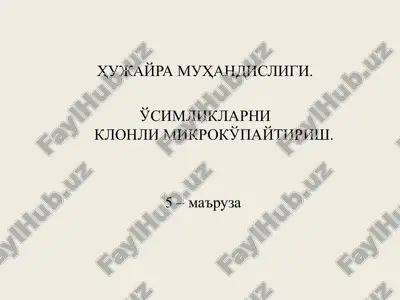 o'simliklarniklonli mikroko'paytirish — PPT