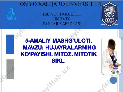 hujayralarning ko'payishi. mitoz. mitotik sikl — PPT
